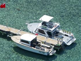 Dive Boats