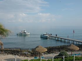 Dive Boats await you on the dock