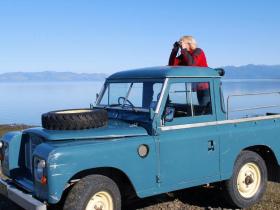 Conducting Bird Census on Farewell Spit