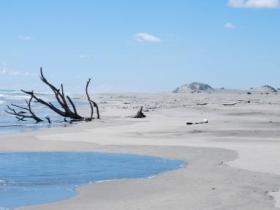 The Ocean Beach, Farewell Spit