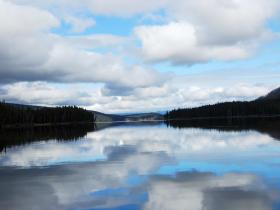 Reflextions