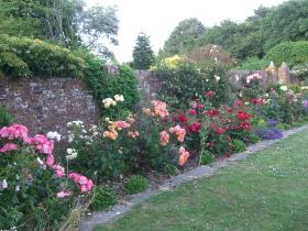 Rose Garden
