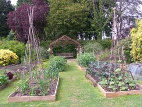 Vegetable garden