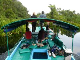 Boat Journey, Orangutan Tour, Steppes Discovery