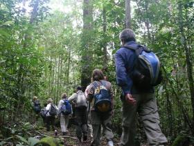 clients on forest walk, orangutan tour, Steppes Discovery