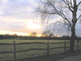 View from garden