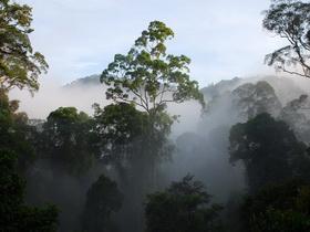 Borneo and Malay Peninsula vacation