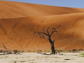 Namib Desert