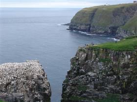 Can you see our group at this excellent whale and bird lookout?
