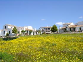Spring flowers to rival any alpine meadow