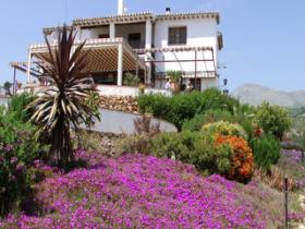 Gardens below the apartment