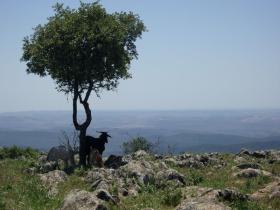 Andalucia walking & local cuisine vacation