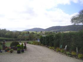 View from the studio