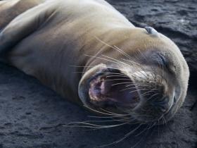 Peru and Galapagos adventure vacation