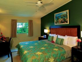 Deluxe One Bedrooms with King or two Queen beds