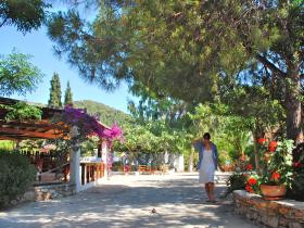 The Beautiful Surroundings