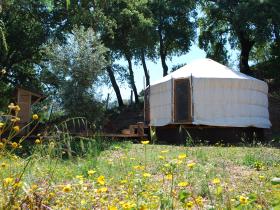The Woodland Yurt