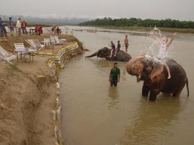Bathing with elephants in Chitwan National Park