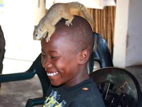 Squirrel visiting a child while he was learning