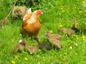 Very surprised Mother of 7.