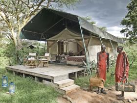 Big cat safari in Kenya
