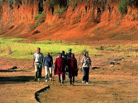 Educational Bush Walks
