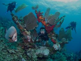 Diver in the Coral