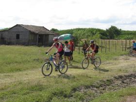 Parasol Pedalling