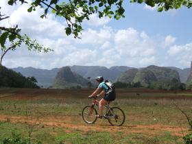 Cuban Cyclist