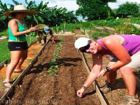 organic farm Vinales