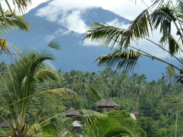 Agen Bola Online Terpopuler - GAMBARAN BALI ECO BUNGALOWS LODGE DI INDONESIA