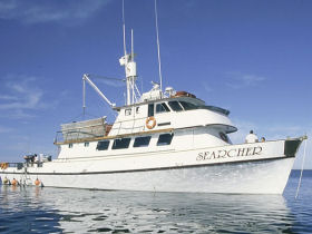 Baja whale watching cruise in Mexico