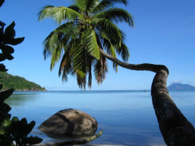Marine conservation & research, Seychelles