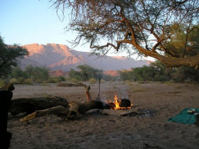 Desert Elephant conservation in Namibia