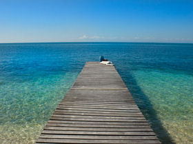 Marine conservation vacation in Belize