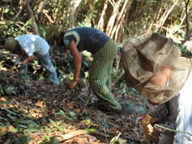 Galapagos Islands conservation work