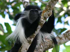 Gap year expedition in Kenya