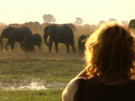 Small group Botswana safari
