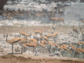 Cape Town to Victoria Falls camping safari