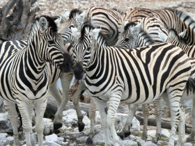 Namibia and Botswana camping safari
