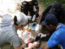 Elephant conservation project in Sri Lanka