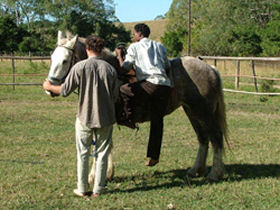 a volunteer helping to back a horse