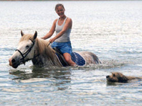 enjoying a swim