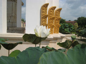 Cambodia honeymoon