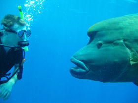 Queensland activity holiday, Australia