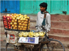North India cultural tour