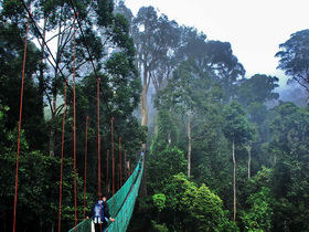 Borneo small group adventure holiday