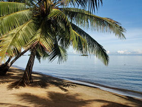 Borneo small group adventure holiday
