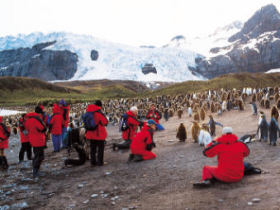 South Georgia & Antarctic Peninsula cruise