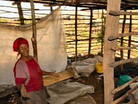 Kenya house building projects